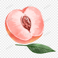 WWW,av844·COM网站APPAPP应用